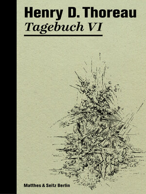 cover image of Tagebuch VI